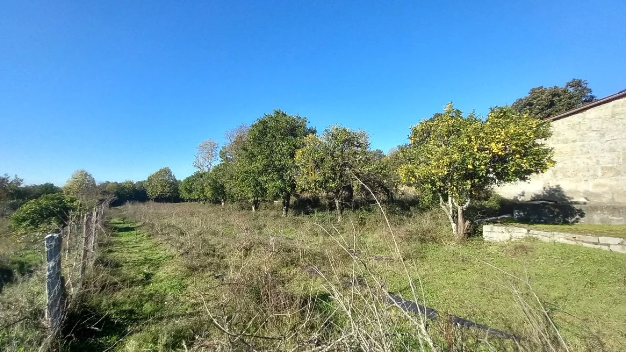 Quinta T5 para Venda em Santos Evos Foto 9