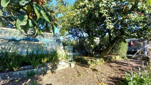 Quinta T5 para Venda em Santos Evos