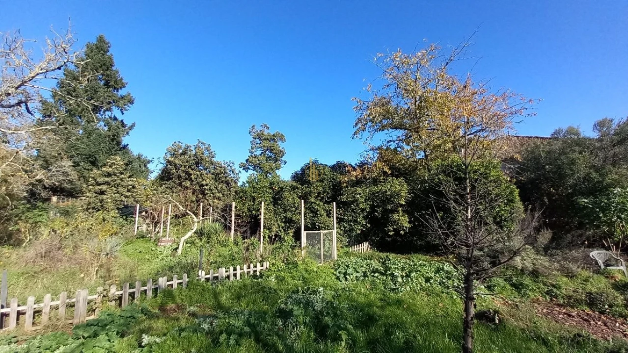 Quinta T5 para Venda em Santos Evos Foto 8