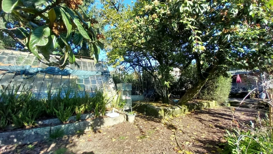 Quinta T5 para Venda em Santos Evos Foto 16