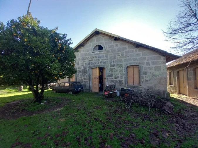Quinta T5 para Venda em Santos Evos Foto 10