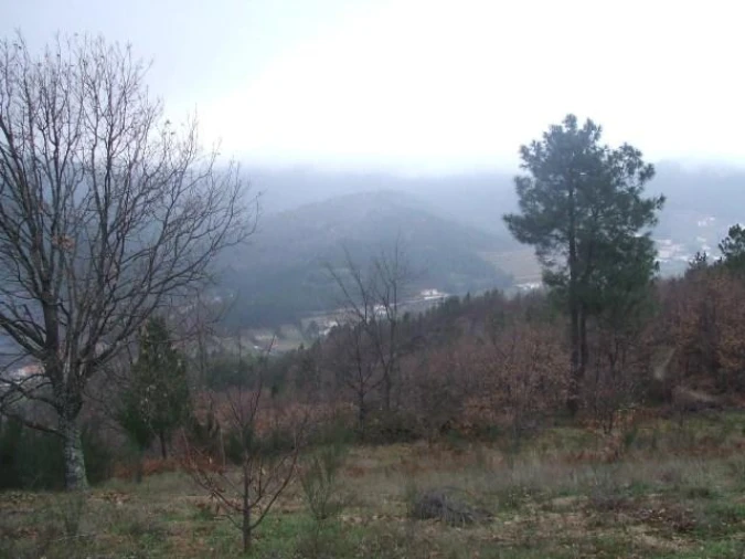 Quinta T0 para Venda em Teixoso e Sarzedo Foto 7