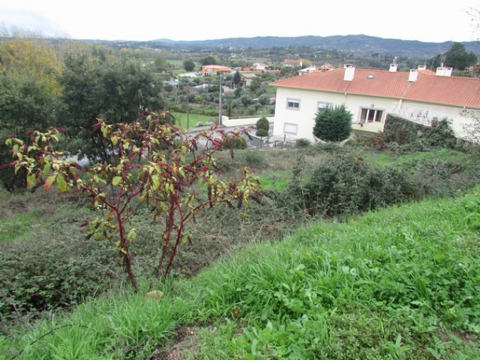Terreno para Venda em Aldeia de São Francisco de Assis
