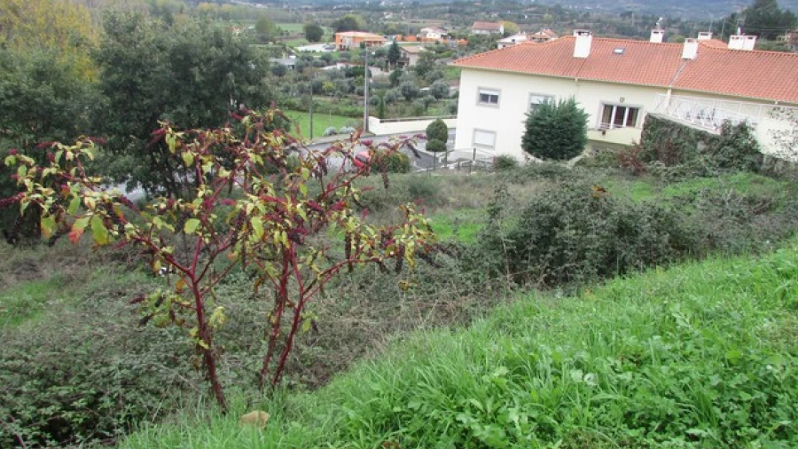 Terreno para Venda em Aldeia de São Francisco de Assis