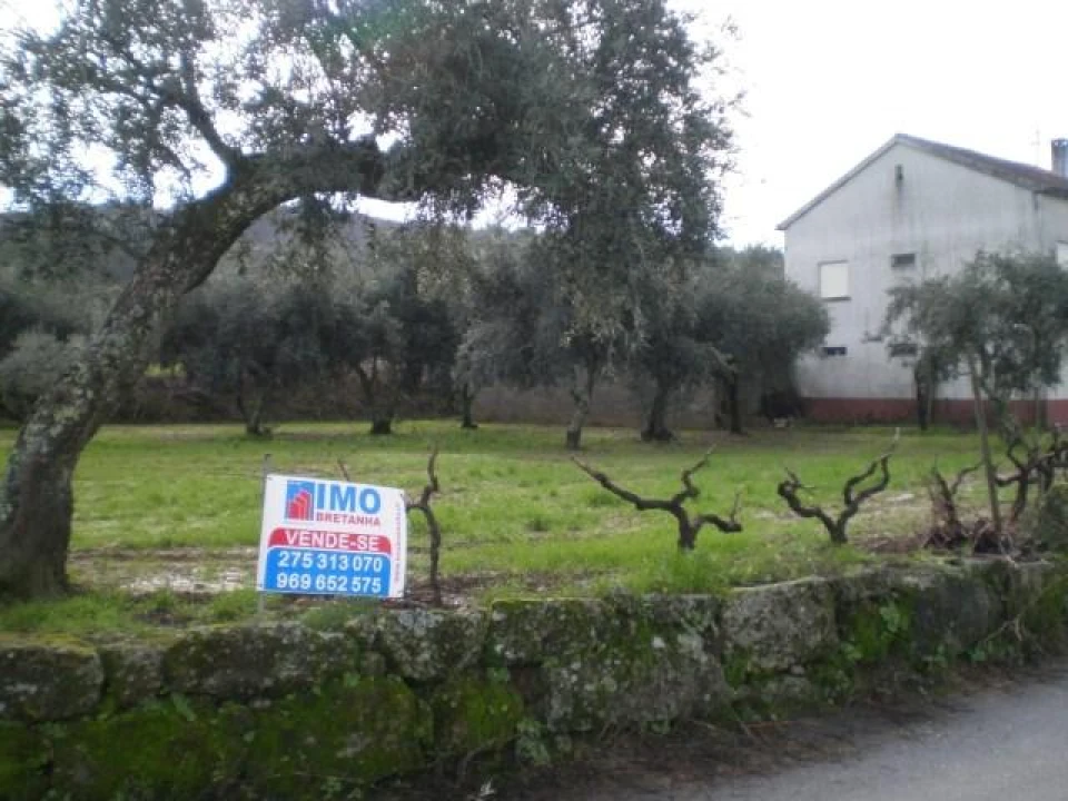 Terreno para Venda em Ferro Foto 1