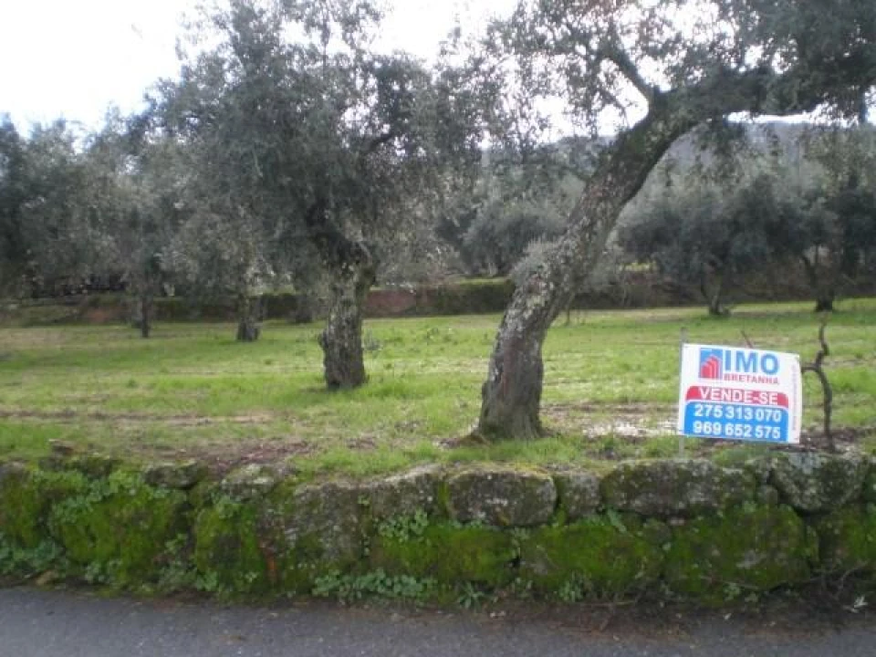 Terreno para Venda em Ferro Foto 3