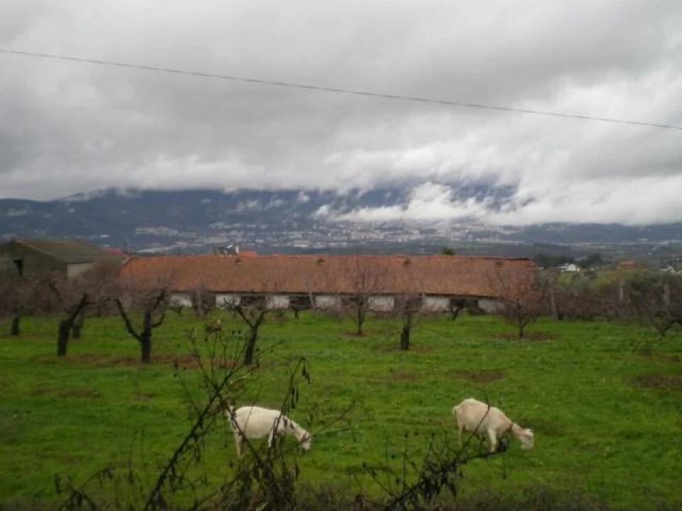 Terreno para Venda em Ferro Foto 6