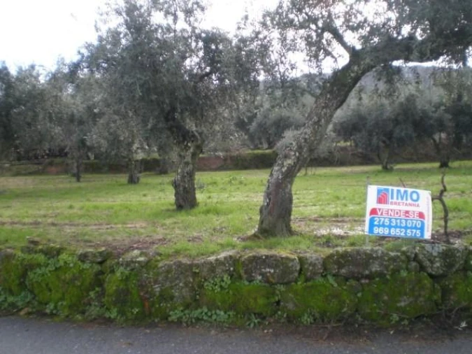 Terreno para Venda em Ferro Foto 3