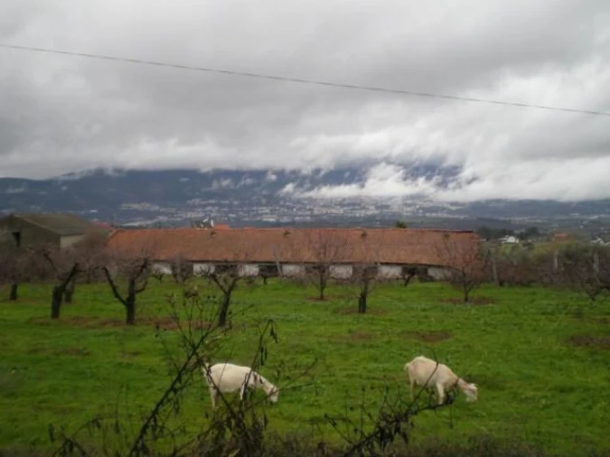 Terreno para Venda em Ferro Foto 6