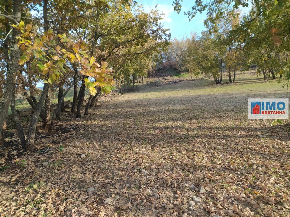 Quinta T0 para Venda em Fundão, Valverde, Donas, A. Joanes, A. Nova Cabo Foto 12