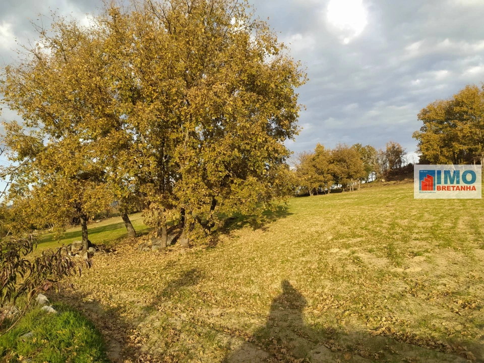 Quinta T0 para Venda em Fundão, Valverde, Donas, A. Joanes, A. Nova Cabo Foto 14