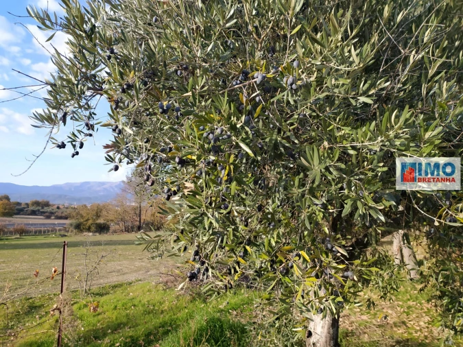 Quinta T0 para Venda em Fundão, Valverde, Donas, A. Joanes, A. Nova Cabo Foto 10