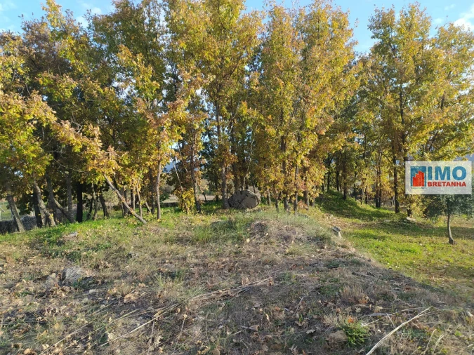 Quinta T0 para Venda em Fundão, Valverde, Donas, A. Joanes, A. Nova Cabo Foto 5