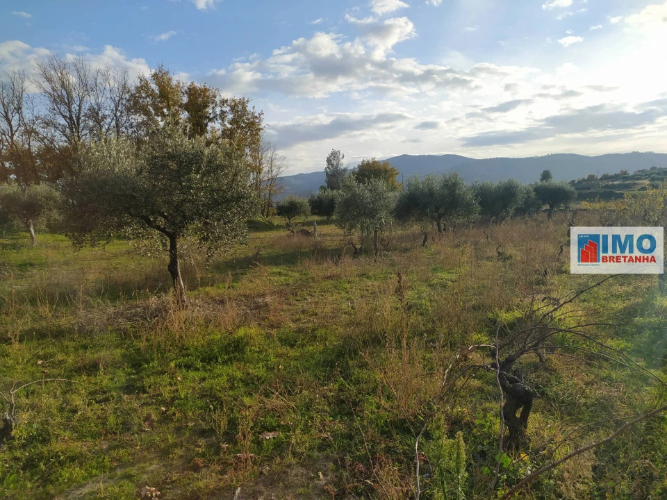 Quinta T0 para Venda em Fundão, Valverde, Donas, A. Joanes, A. Nova Cabo Foto 9