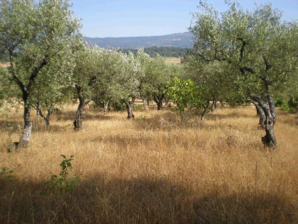 Quinta T0 para Venda em Fundão, Valverde, Donas, A. Joanes, A. Nova Cabo Foto 2