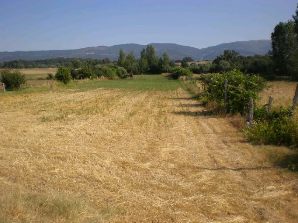 Quinta T0 para Venda em Fundão, Valverde, Donas, A. Joanes, A. Nova Cabo Foto 3
