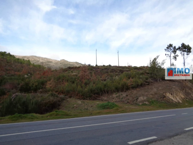 Terreno para Venda em Covilhã e Canhoso Foto 2