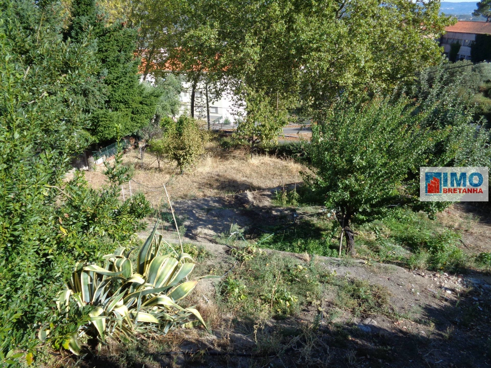 Terreno para Venda em Tortosendo Foto 3