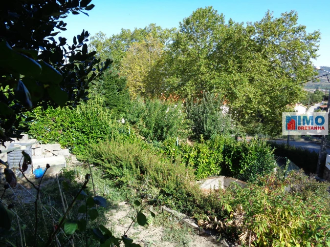 Terreno para Venda em Tortosendo Foto 2