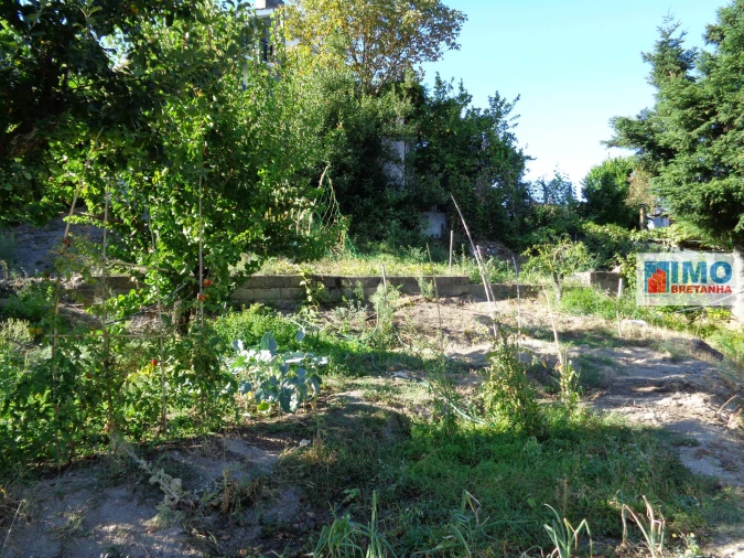 Terreno para Venda em Tortosendo Foto 5