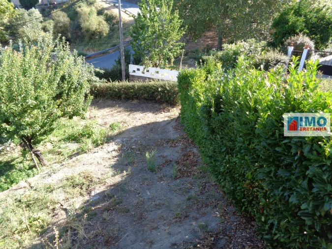 Terreno para Venda em Tortosendo Foto 4