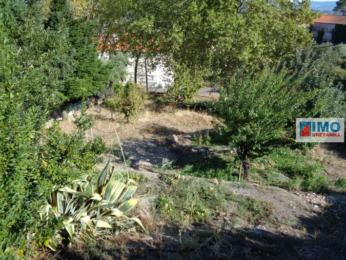 Terreno para Venda em Tortosendo Foto 3