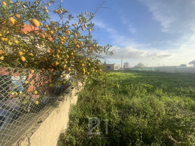 Terreno para Venda em Cacém e São Marcos Foto 9