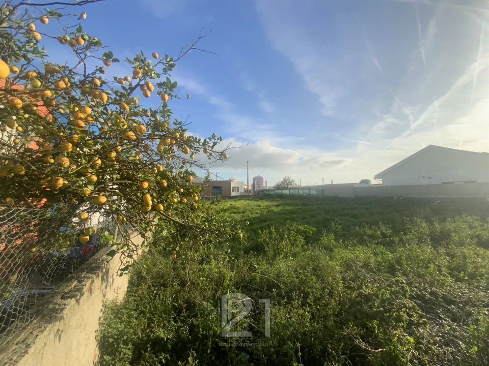 Terreno para Venda em Cacém e São Marcos Foto 6