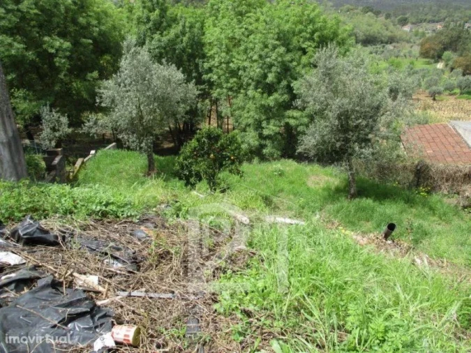 Moradia T3 para Venda em Areias e Pias Foto 22