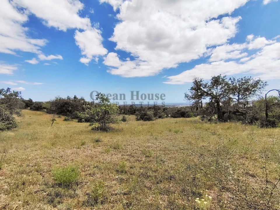 Terreno Agricola ou Rústico para Venda em Loule (São Sebastião) Foto 4