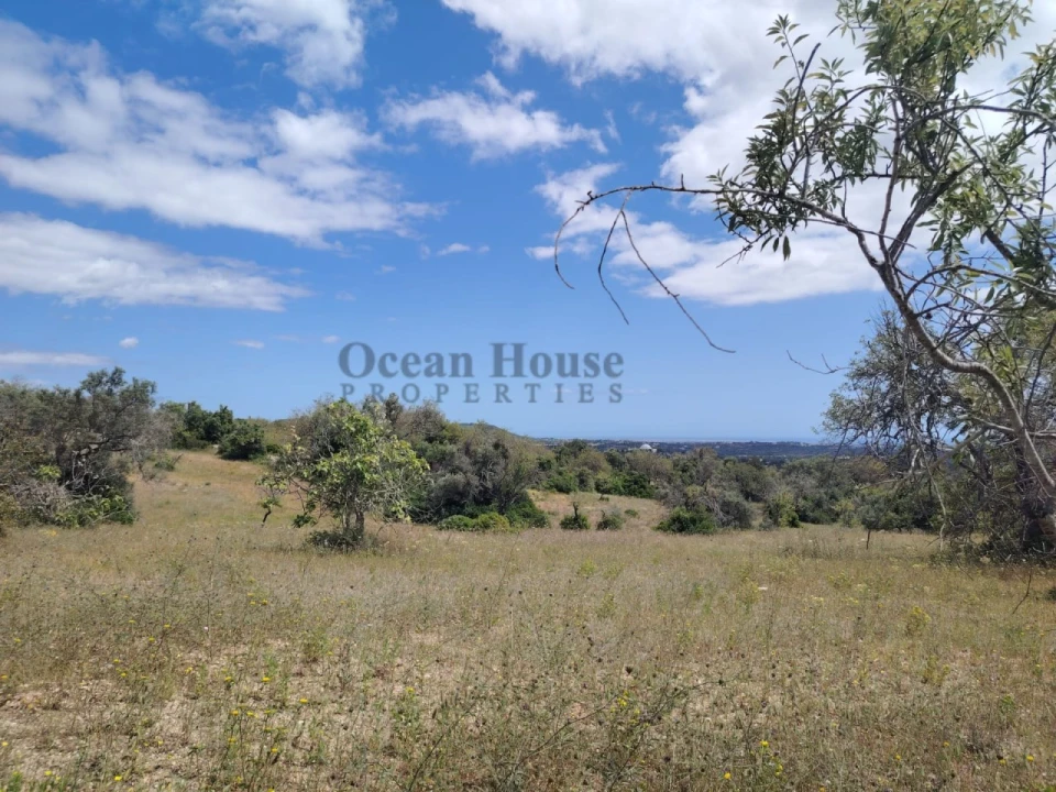 Terreno Agricola ou Rústico para Venda em Loule (São Sebastião) Foto 5