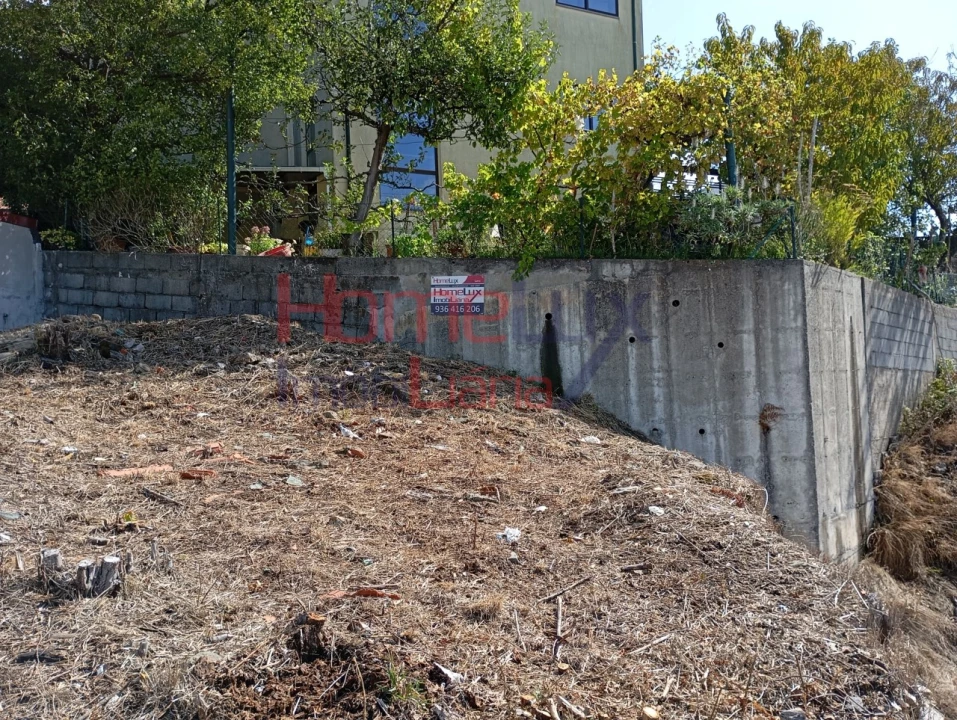 Terreno para Venda em Campo e Sobrado Foto 8