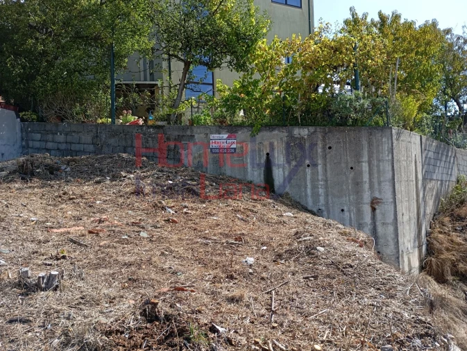 Terreno para Venda em Campo e Sobrado Foto 8