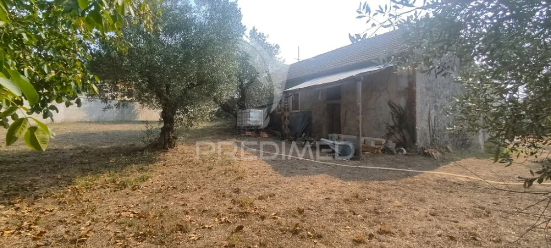 Moradia T3 para Venda em São Mamede Foto 20