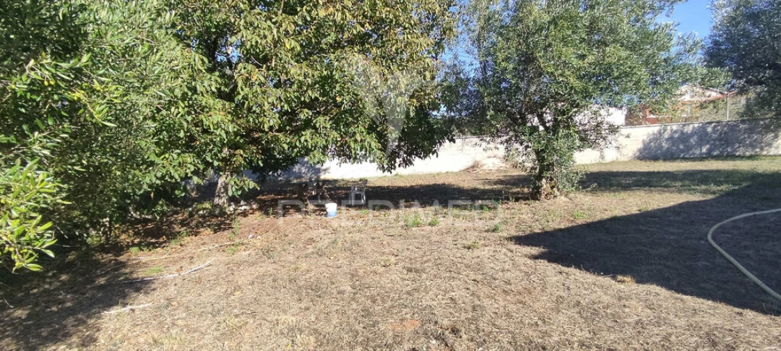 Moradia T3 para Venda em São Mamede Foto 14