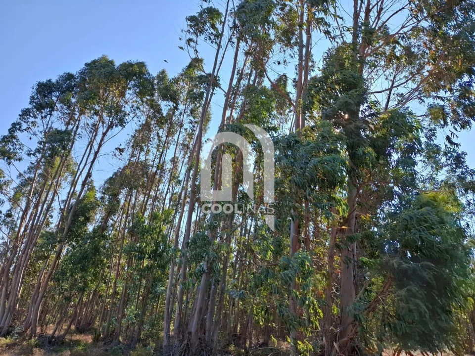 Terreno para Venda em Bemposta Foto 20