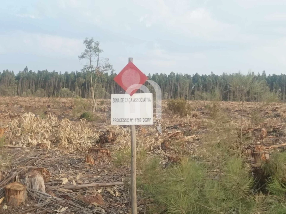 Terreno para Venda em Bemposta Foto 21