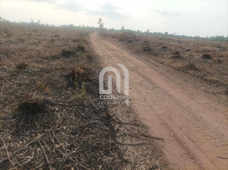 Terreno para Venda em Bemposta Foto 7