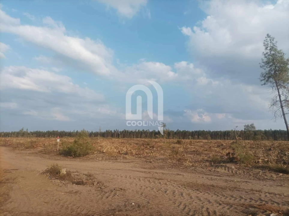 Terreno para Venda em Bemposta Foto 6