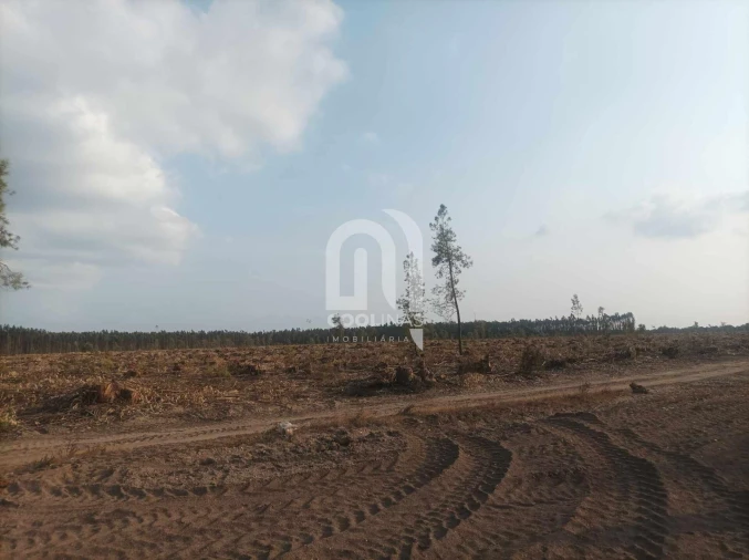 Terreno para Venda em Bemposta Foto 3