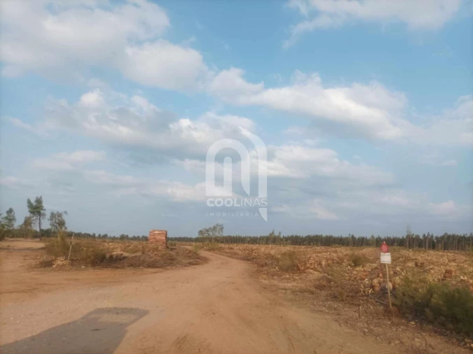 Terreno para Venda em Bemposta Foto 2