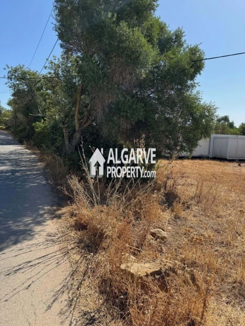 Terreno para Venda em Almancil