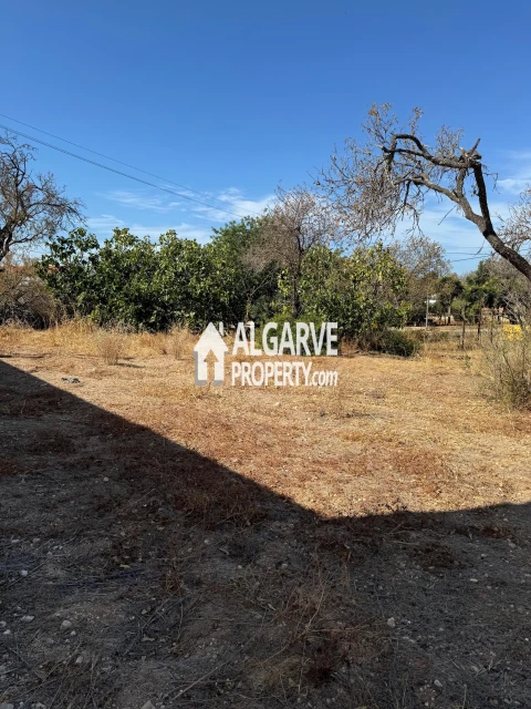 Terreno para Venda em Almancil