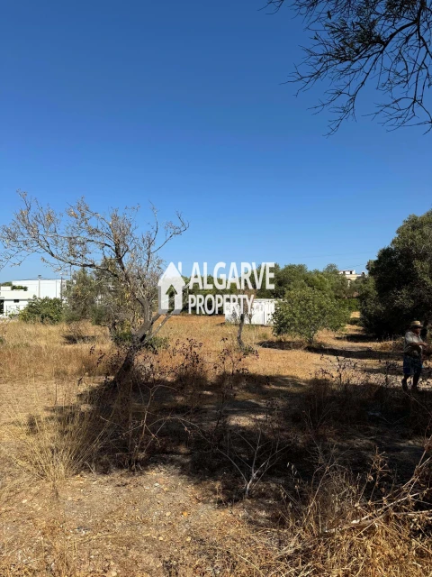 Terreno para Venda em Almancil
