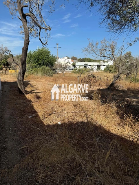 Terreno para Venda em Almancil