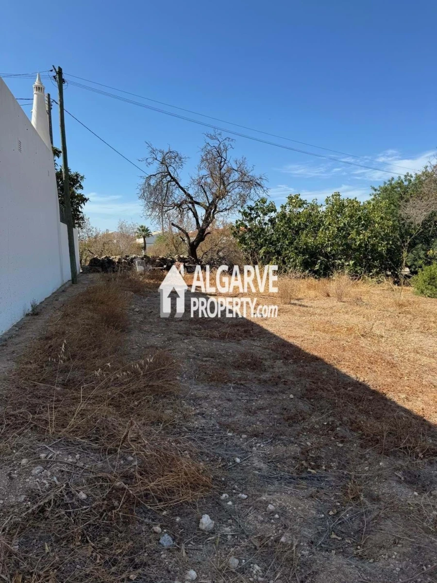 Terreno para Venda em Almancil Foto 10