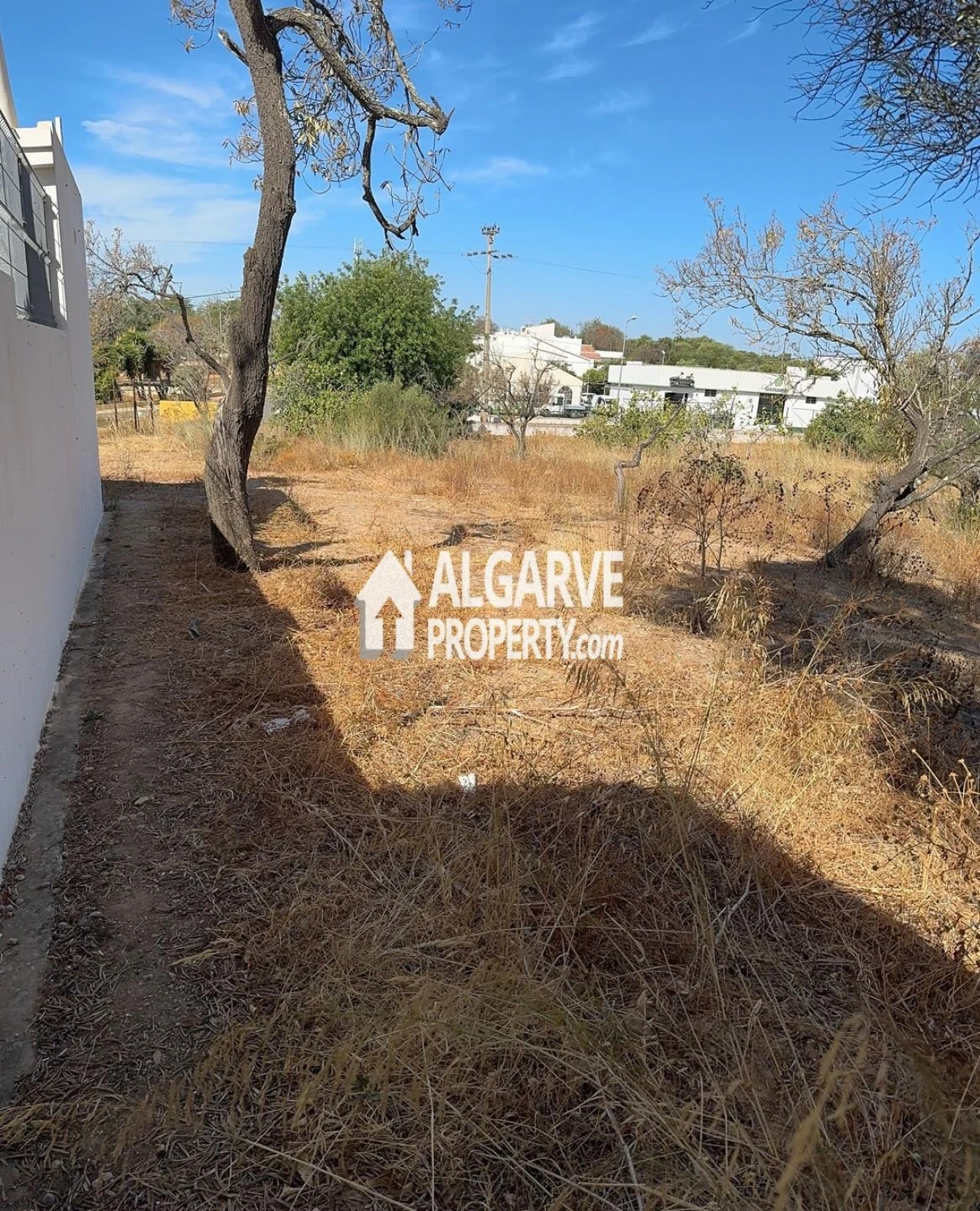 Terreno para Venda em Almancil Foto 6