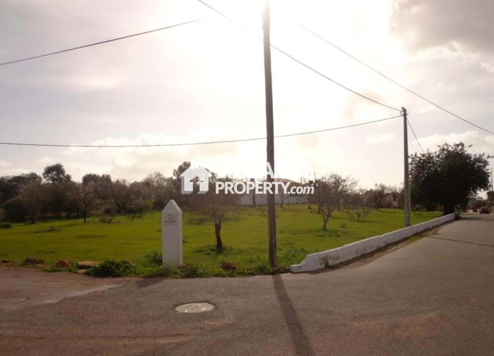 Terreno para Venda em Almancil Foto 3