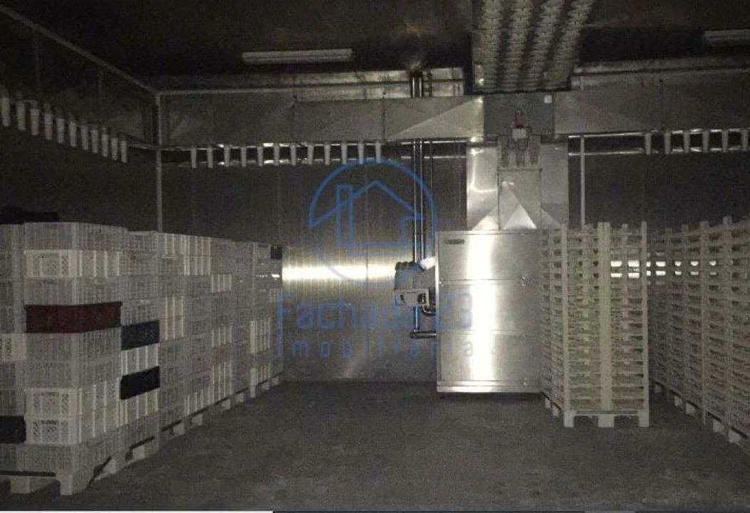 Armazém para Venda em Idanha-A-Nova e Alcafozes Foto 7