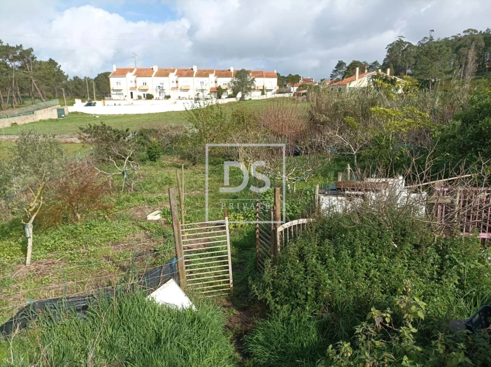 Terreno para Venda em Ericeira Foto 4